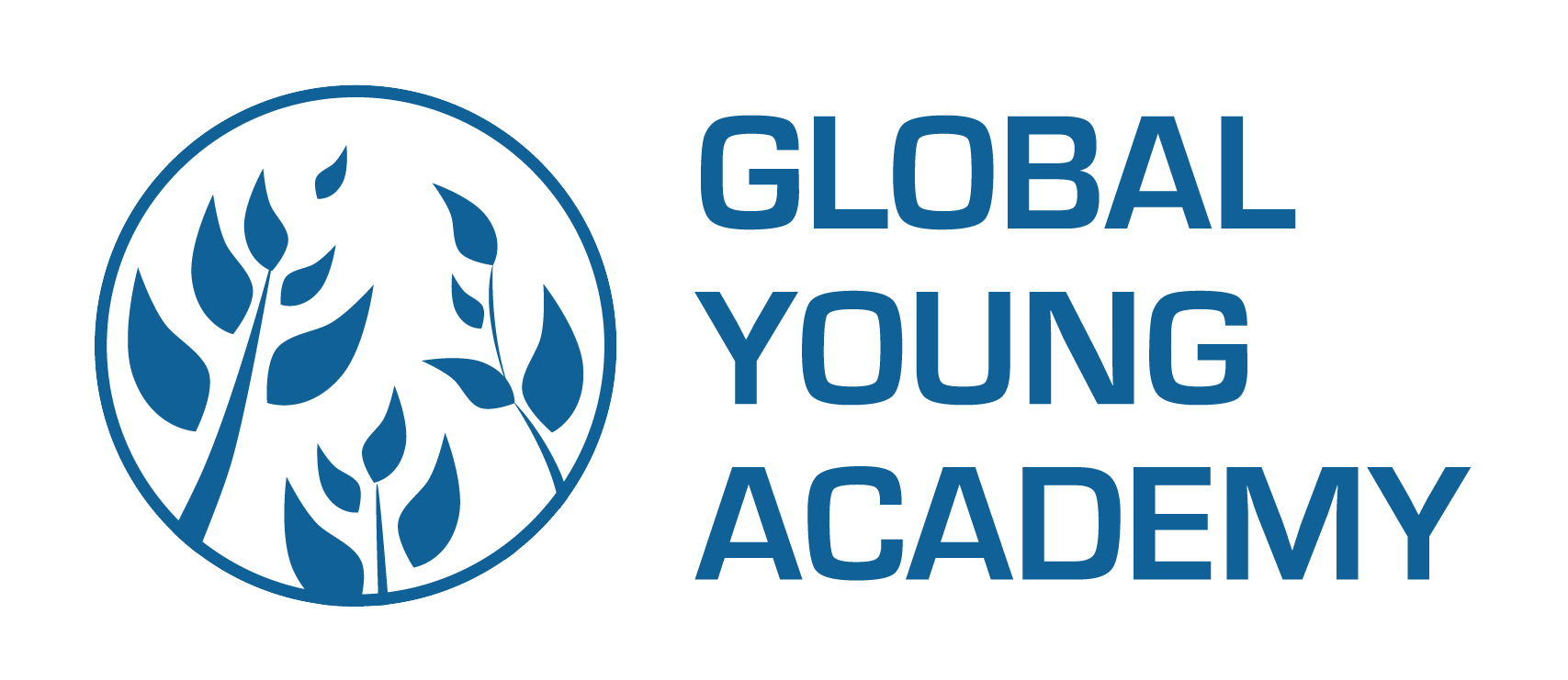 global young academy